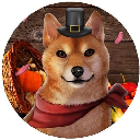 DogeGiving DOGEGIVING cryptocurrency