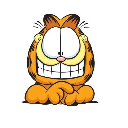 Garfield Token GARFIELD cryptocurrency
