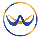 WAY-F coin WAYF cryptocurrency