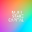 Multi-Stake Capital MSC