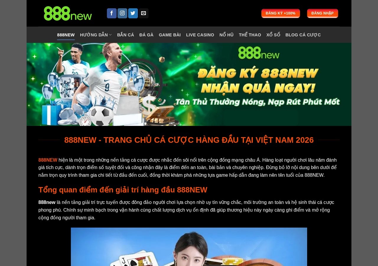 Invest project 888new