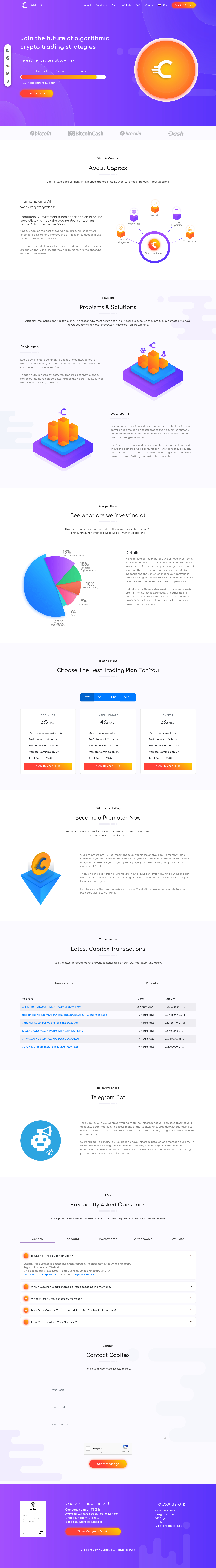 Investment project Capitex