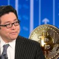 BitMine de Tom Lee indique que les avoirs en ETH ont atteint 5,67 millions de tokens