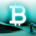 78 Days Without US Buyers, But Citadel Still Says the Bull Market Is Alive