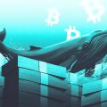 Arthur Hayes Says Bitcoin’s Going to $1 Million After an AI Credit Bust