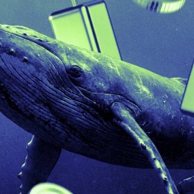 These 2 Altcoins Just Flashed Their Biggest Whale Spike in 6 Months