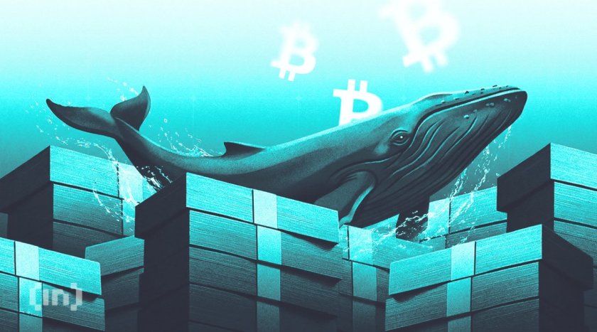 Bitcoin Price Prediction for August 2026: Whales Bet Against a 4-Year Losing Streak