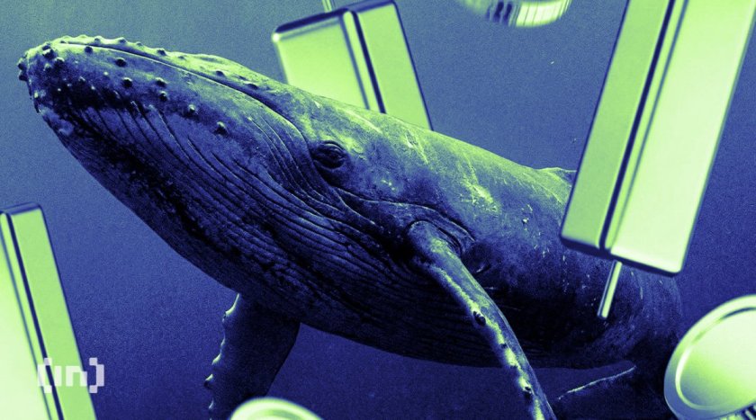 Bitcoin Whales Were Urging Friends to Buy Zcash Before Its Rally to $1,000